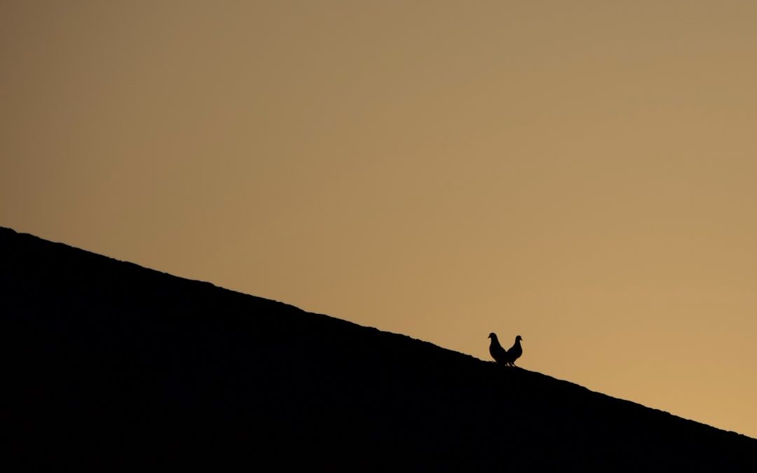 El arte del storytelling en la fotografía contemporánea